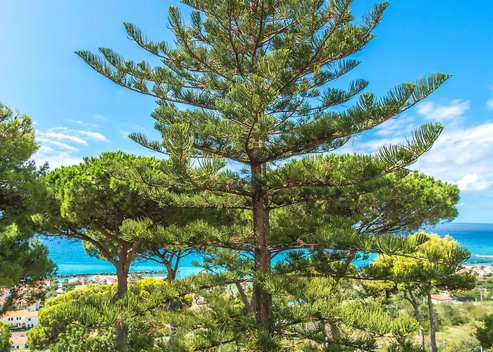 Club La Castellana شقة فندقية 3*